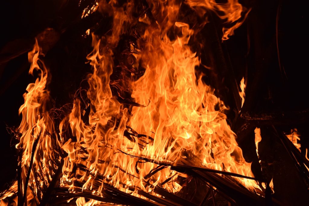 London Zoo fire